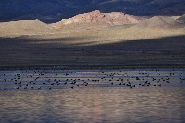 lake scene